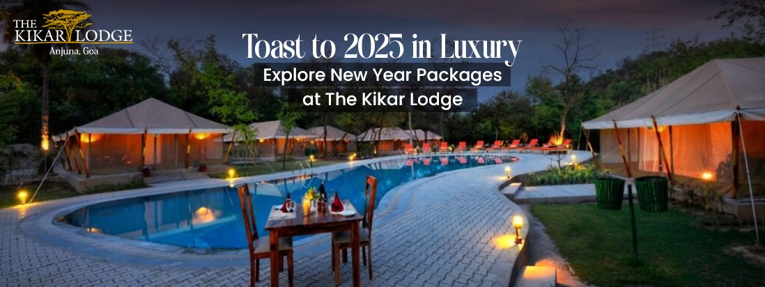 New Year Holiday Packages 2025